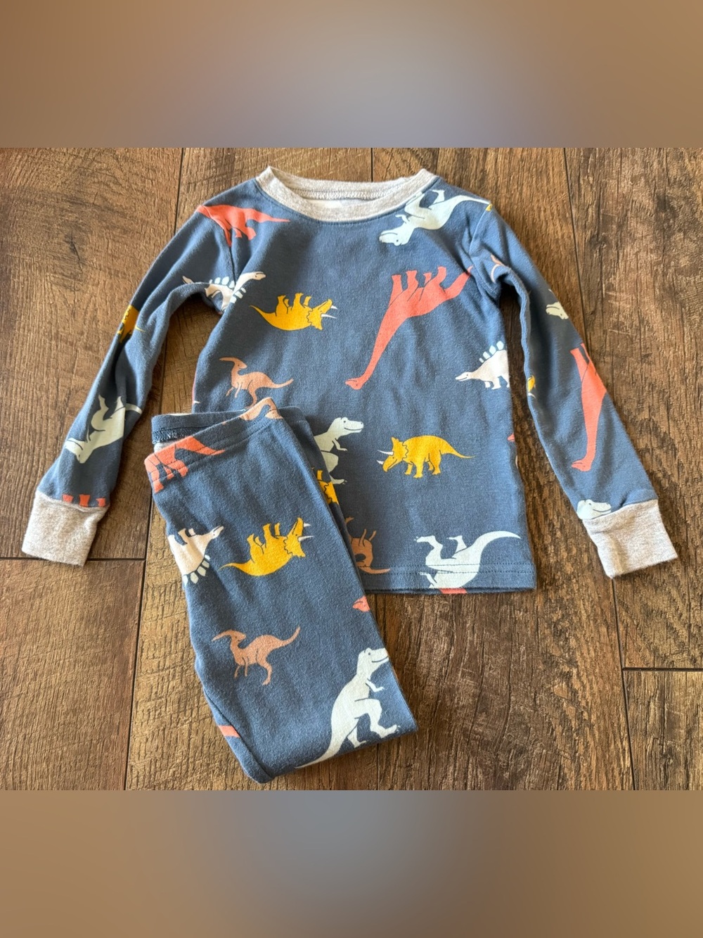 Toddler boy dinosaur pajamas